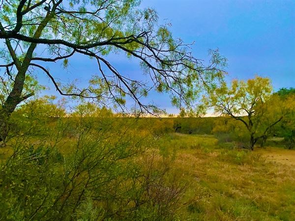 Tipton Ranch (10/11/2024 - Credits: John Cochran)