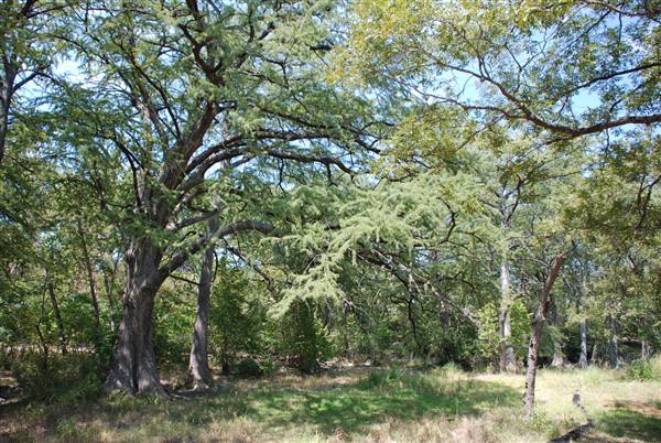 Blue Hole Regional Park (9/14/2011)