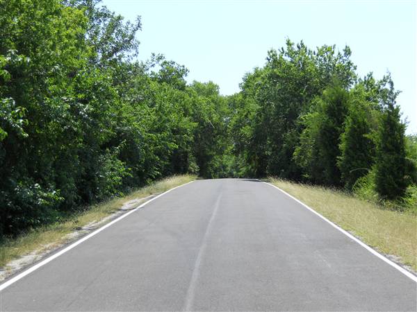 Gloria Road (10/18/2011)