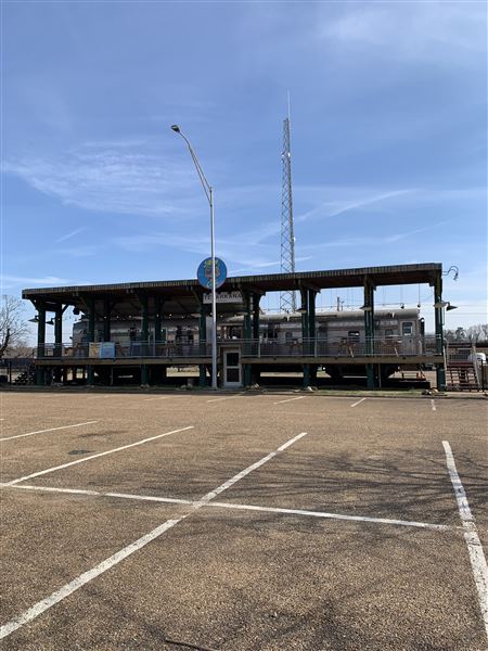 Alley Cats Coffee Bar (2/21/2025 - Credits: submitted by: Brooke  Stone)