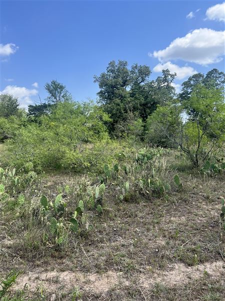 McDonald Cedar Creek Legacy Estate (5/24/2025 - Credits: Mayerland Harris)