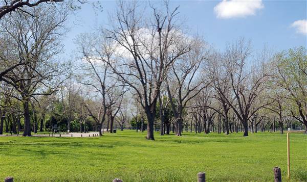 Riverside Park (3/22/2012)