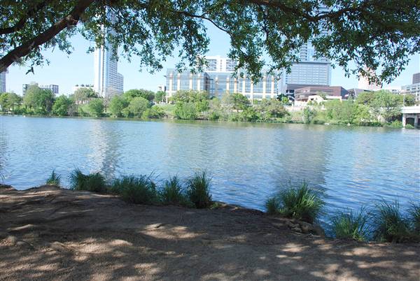 Auditorium Shores (3/26/2012)