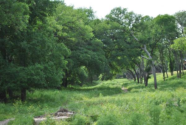 Phil Hardberger Park (4/7/2012)