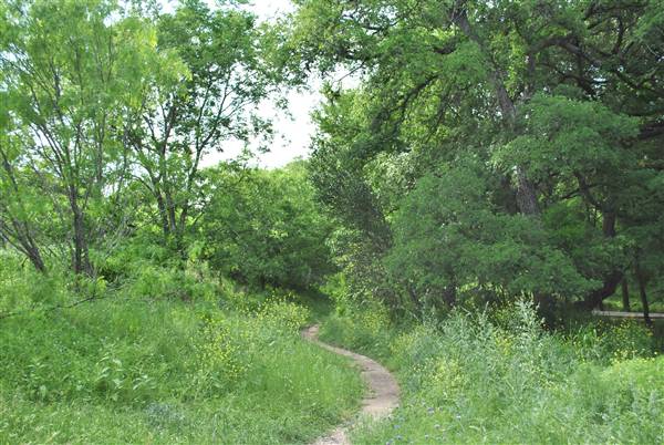 Phil Hardberger Park (4/7/2012)