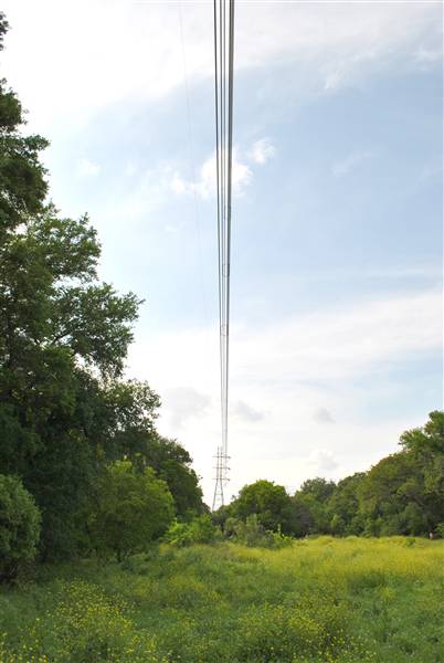 Phil Hardberger Park (4/7/2012)
