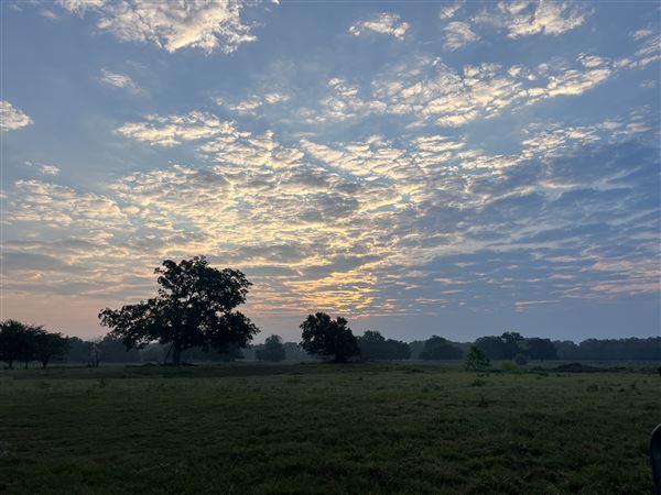 Evans Ranch (9/20/2024 - Credits: submitted by: kate evans)