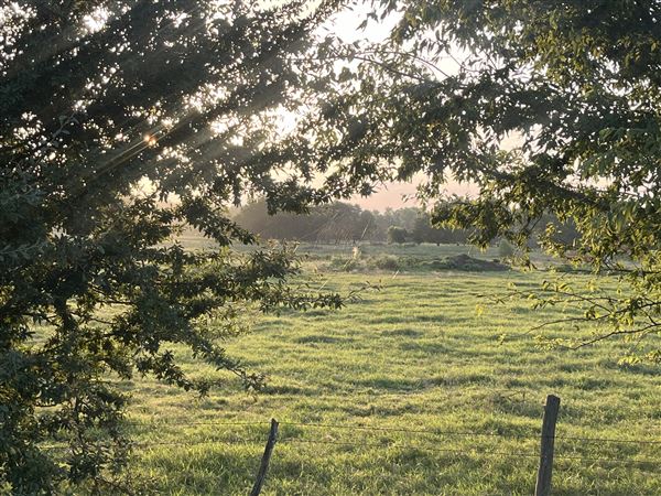 Evans Ranch (9/20/2024 - Credits: submitted by: kate evans)
