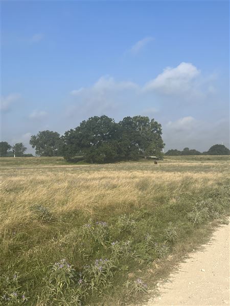 Evans Ranch (9/20/2024 - Credits: submitted by: kate evans)