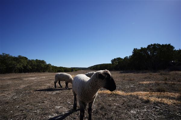 Four Winns Ranch (1/29/2026 - Credits: Jamal Burrell)