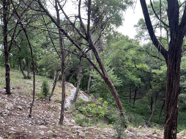 Riva Ridge (2/4/2026 - Credits: submitted by: Sabina  Nugent)