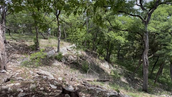 Riva Ridge (2/4/2026 - Credits: submitted by: Sabina  Nugent)