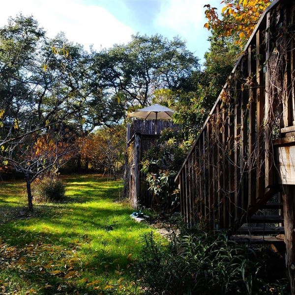Texas Hill Country Orchard (6/1/2019 - Credits: Sonja Nagy)