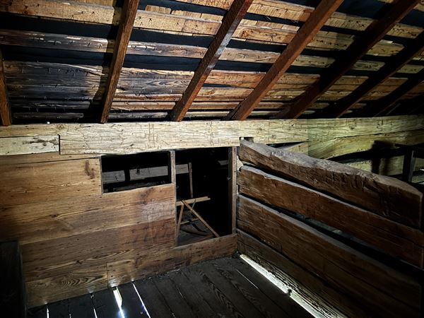 Old City Park - Dogtrot House (10/9/2025 - Credits: Austin Flores)