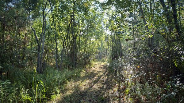 The Oaks of Anahuac (9/12/2025 - Credits: Houston Film Commission)