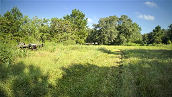 The Oaks of Anahuac (9/12/2025 - Credits: Houston Film Commission)