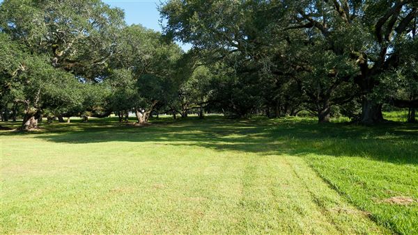 The Oaks of Anahuac (9/12/2025 - Credits: Houston Film Commission)