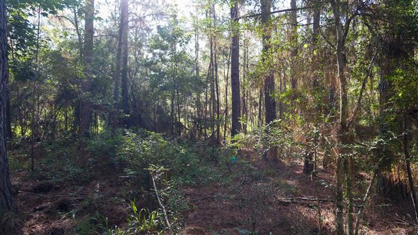 The Oaks of Anahuac (9/12/2025 - Credits: Houston Film Commission)