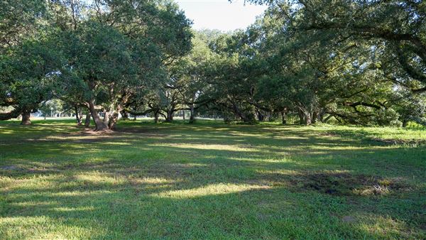 The Oaks of Anahuac (9/12/2025 - Credits: Houston Film Commission)