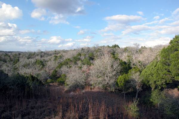 McKinney Roughs Nature Park (1/4/2005)