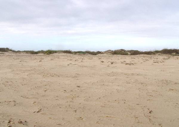 Boca Chica Beach & Dunes (3/2/2005)