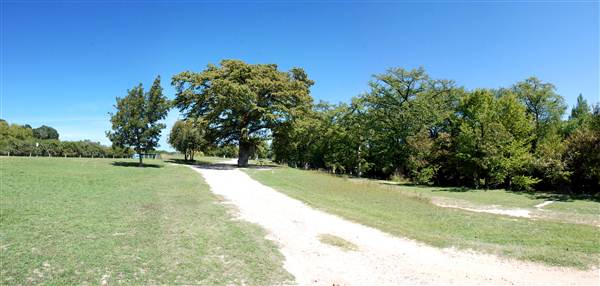 Bandera City Park (10/8/2012)