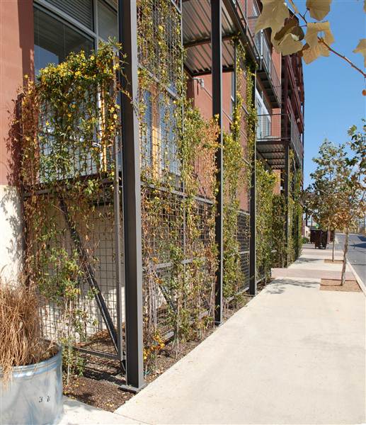 1221 Broadway Lofts (2/7/2013)