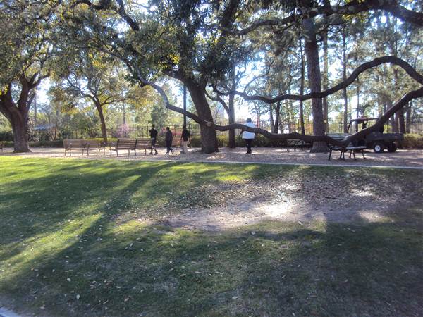 Hermann Park (3/7/2013)