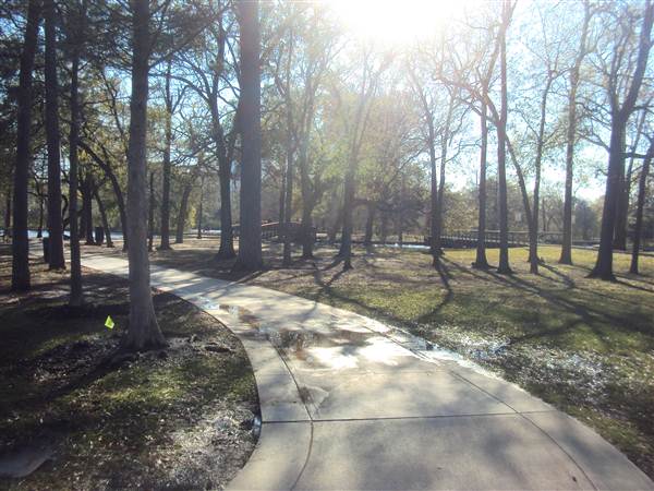 Hermann Park (3/7/2013)