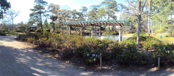 Japanese Garden in Hermann Park (3/7/2013)