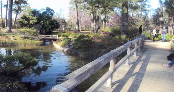 Japanese Garden in Hermann Park (3/7/2013)