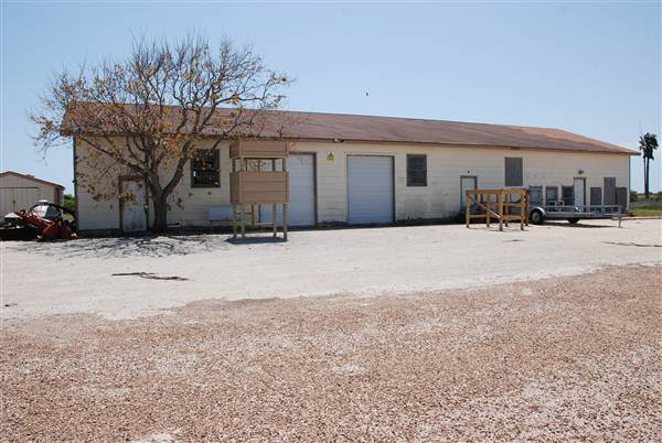 Matagorda Island (4/4/2013)