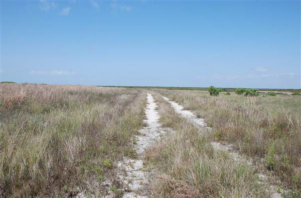 Matagorda Island (4/4/2013)