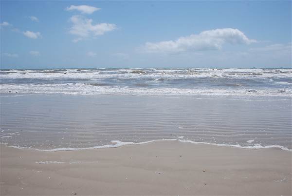 Matagorda Island (4/4/2013)