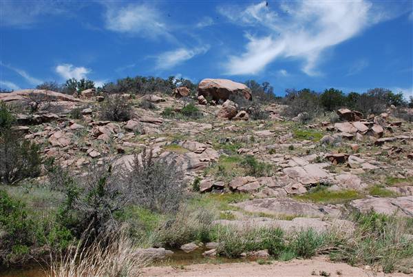 The Sandy Ranch (5/4/2013)
