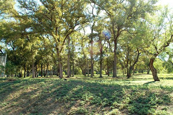 Big Stacy Park (9/26/2013)