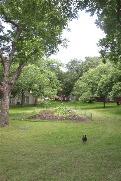 Ward House (6/19/2014)