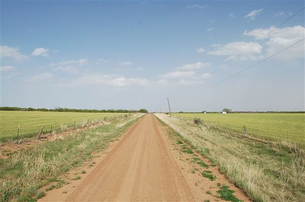Wheat Field on SH114 (4/29/2014)