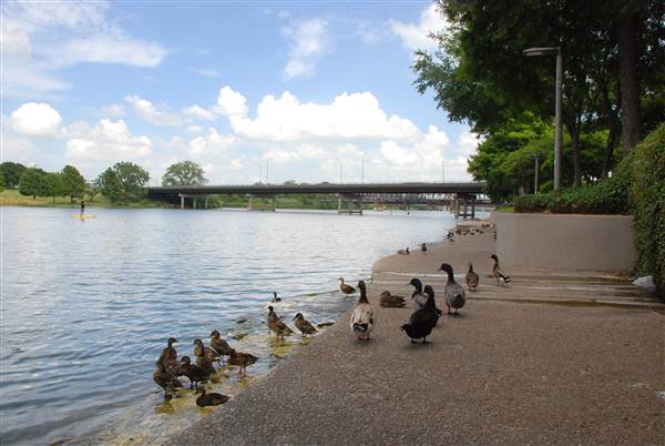 Waco Suspension Bridge and Waco Riverwalk (6/19/2014)