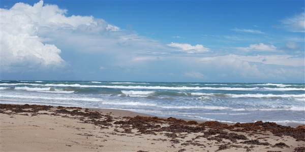 Boca Chica Beach & Dunes (9/25/2014)
