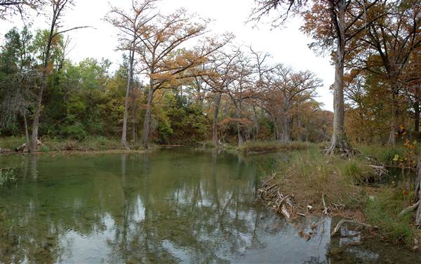 Old Glory Ranch (11/13/2014)