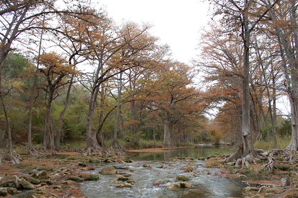 Old Glory Ranch (11/13/2014)