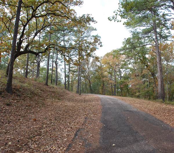 Davey Dogwood Park (11/13/2014)