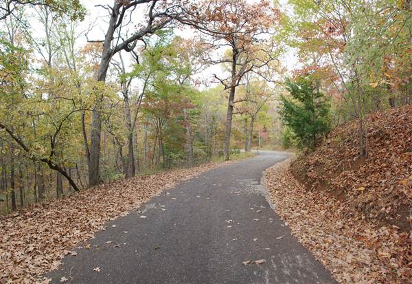 Davey Dogwood Park (11/13/2014)