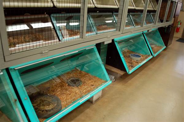 Animal World and Snake Farm (1/19/2015)