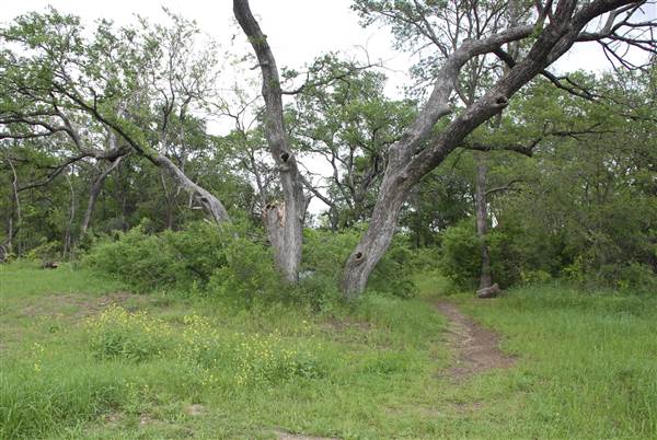 Cedar Hill State Park (4/13/2015)