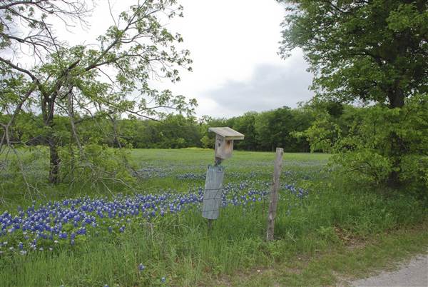 Cedar Hill State Park - Penn Farm (4/13/2015)