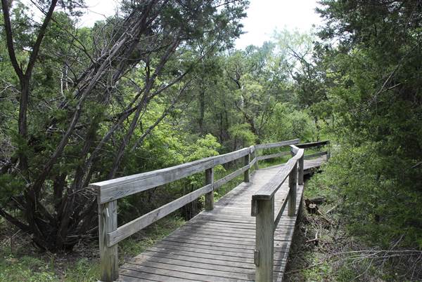 Cedar Hill State Park - Talala Trail (4/15/2015)