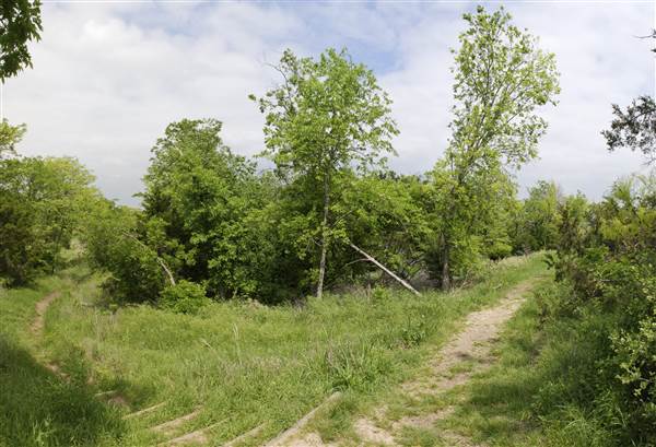 Cedar Hill State Park - Talala Trail (4/15/2015)