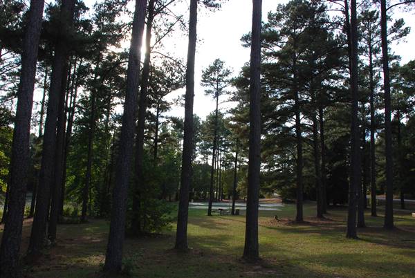 Faulkner Park (10/7/2015)